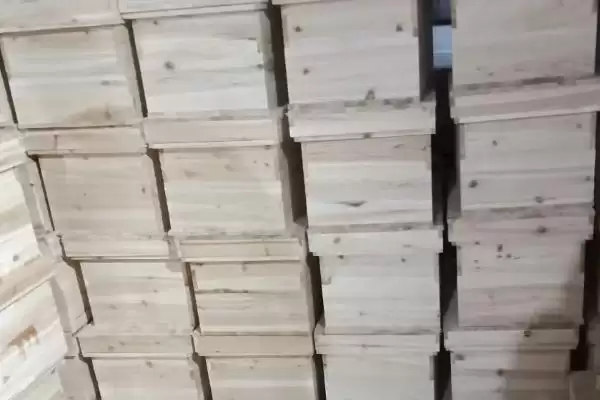 图片[4]-大蜂箱和小蜂箱哪种好，需根据蜂群的实际情况来选择-会东网