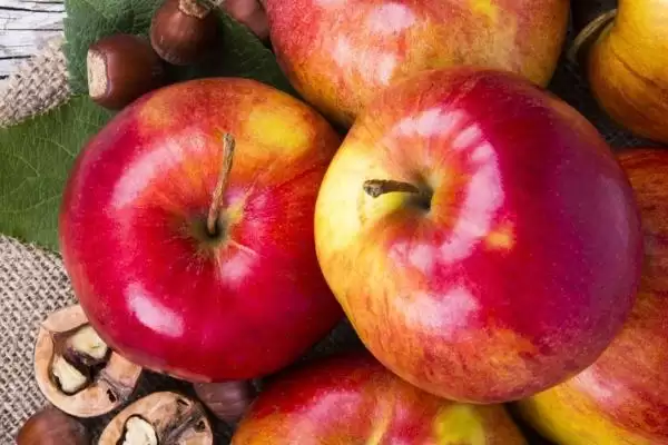 中国哪里产苹果,不同地方的苹果味道各不相同插图4 中国哪里产苹果,不同地方的苹果味道各不相同插图4