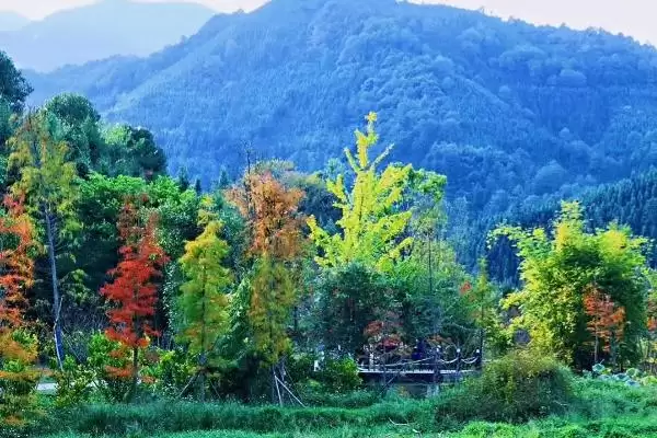 图片[7]-农村致富项目大推荐：自然肥加工、农产品加工的商机-会东网