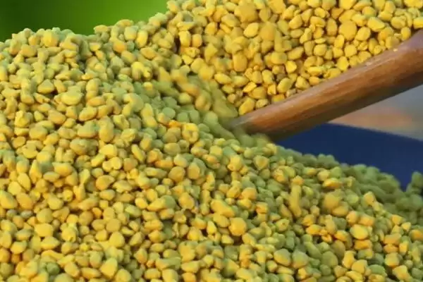 图片[2]-蜜蜂吃什么，花蜜、蜂王浆和糖浆都是蜜蜂的食物-会东网