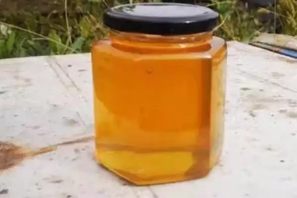 图片[4]-槐花蜜和枣花蜜对比，前者有槐花香味、后者有枣花香味-会东网