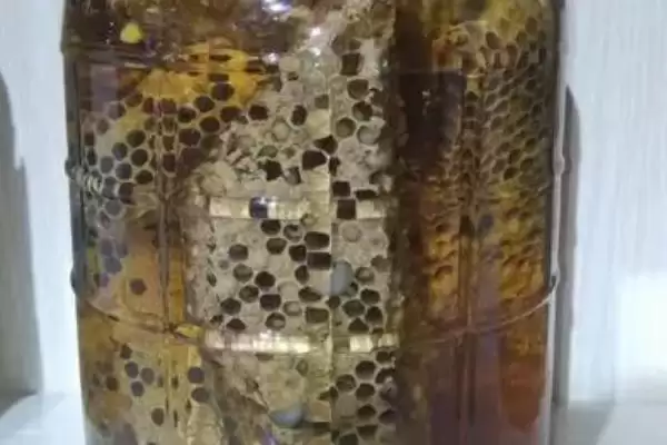 怎么用蜂蛹泡酒,放入装有粮食酒的容器中、再密封即可插图1 怎么用蜂蛹泡酒,放入装有粮食酒的容器中、再密封即可插图1