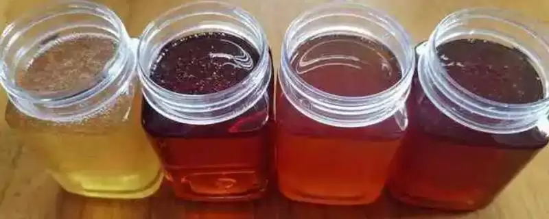 假蜂蜜怎么分辨,口感近似白糖水、具有不自然的香味-会东网