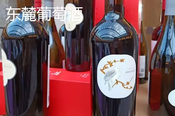 图片[4]-宁夏特产明星：灵武长枣成为中国国家地理标志产品的传奇-会东网