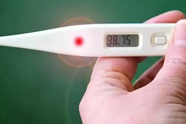 养猫会用到哪些家庭护理用品,体重秤、脖圈、体温计等物品经常使用插图1 养猫会用到哪些家庭护理用品,体重秤、脖圈、体温计等物品经常使用插图1