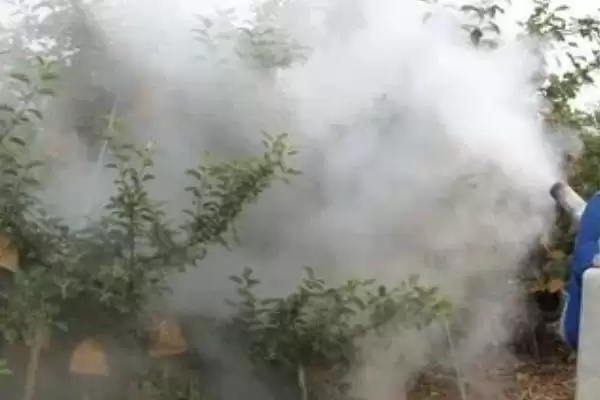 苹果树病虫害的防治方法，早春是防治的关键时期插图1