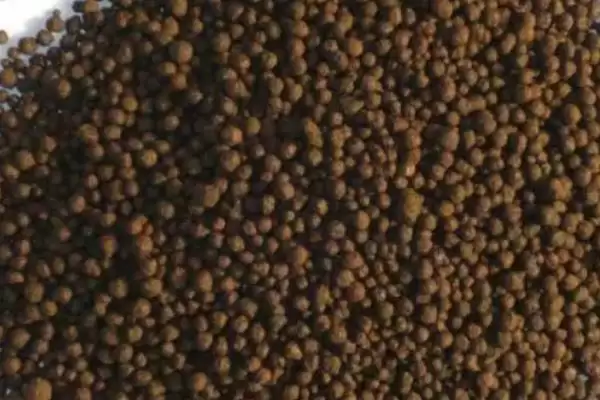 图片[2]-微生物肥料和化肥的关系？了解微生物肥料和化肥关系要知晓哪些作用互补与差异要点？-会东网