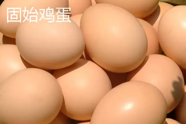 了解我国鸡蛋产地分布的方法和重点?养鸡要做好哪些产地关联?插图9 了解我国鸡蛋产地分布的方法和重点?养鸡要做好哪些产地关联?插图9