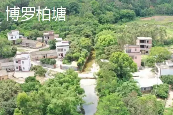 图片[15]-广东紫金县的特产，八刀汤是当地的招牌美食-会东网