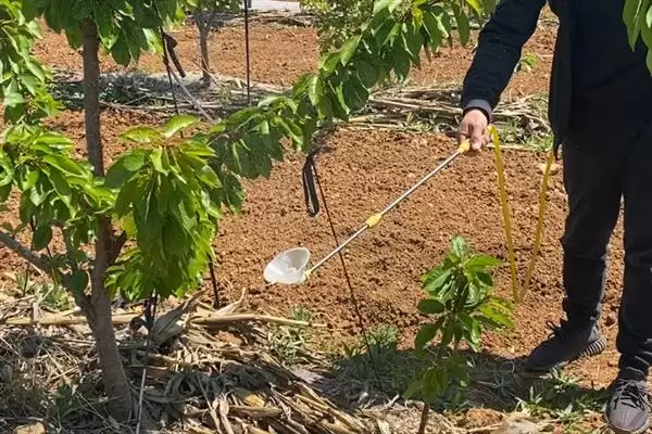 图片[6]-磷酸二氢钾叶面肥的使用方式 ,磷酸二氢钾叶面肥为何常喷施？-会东网
