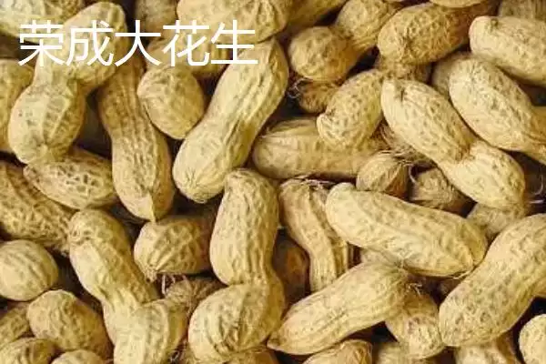 图片[5]-山东荣成的特产，荣成海参堪称参中之王-会东网