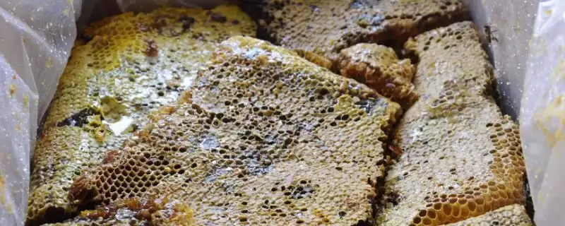 蜂巢蜜的价格,一般在60-300元一斤-会东网