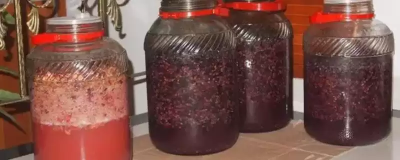 葡萄酒酿制全攻略：采摘后多道工序的醇香之旅-会东网