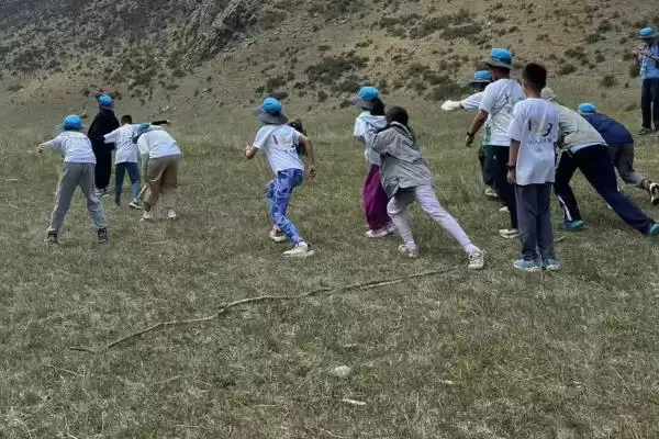 规划 50 亩农场的方法和重点?养猪要做好哪些规划细节?插图2 规划 50 亩农场的方法和重点?养猪要做好哪些规划细节?插图2