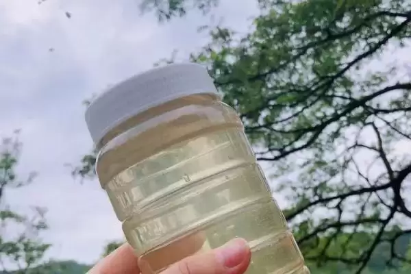 洋槐蜜30块一斤是不是正品,正宗的洋槐蜜一般不便宜插图1 洋槐蜜30块一斤是不是正品,正宗的洋槐蜜一般不便宜插图1