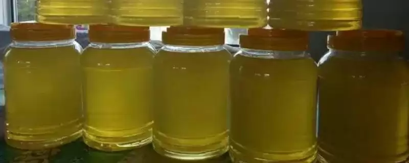 椴树蜜和槐花蜜哪个好,后者口感和色泽都要更好-会东网