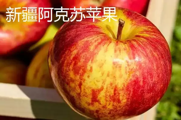 我国苹果产地，主要集中在北方插图6