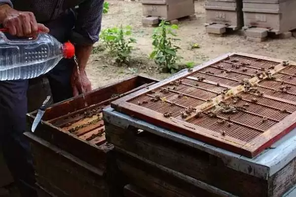 图片[5]-奖励饲喂方法介绍，目的是刺激蜂王产卵-会东网