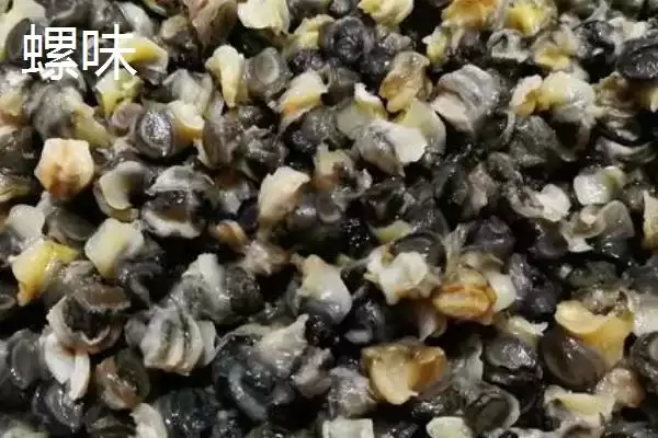 图片[3]-天气冷鲤鱼吃什么味型的饵料，首选蚯蚓、天下鲤等-会东网