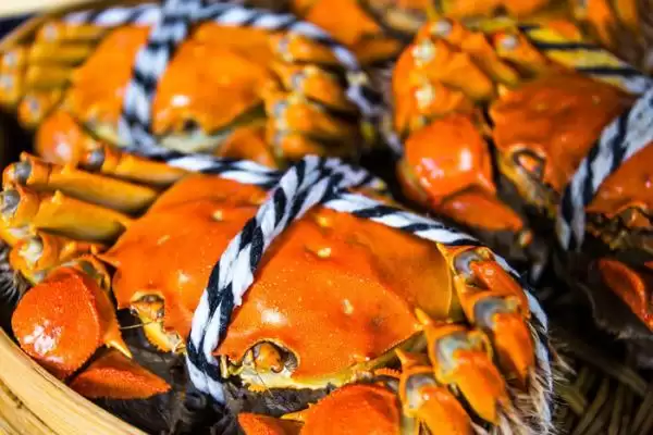 螃蟹蒸煮时间大揭秘：根据大小而定的科学方法插图1