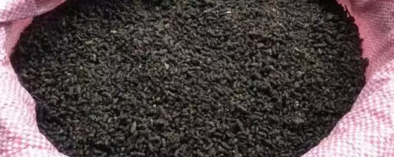 选购高质量海藻肥的方法和重点？选购高质量海藻肥要做好哪些细节？-会东网