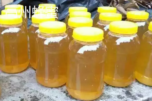 图片[7]-广东省高州市的特产，储良龙眼是著名优良品种-会东网