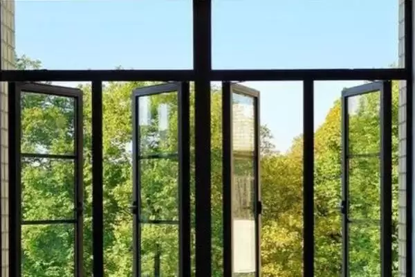 甲醛克星花卉:吊兰、菊花、白掌让你室内空气更清新插图5 甲醛克星花卉:吊兰、菊花、白掌让你室内空气更清新插图5