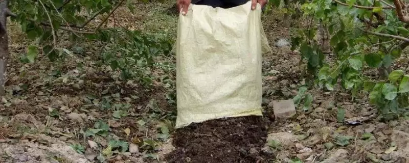 施用有机肥的方法和重点？养猪过程中施肥要做好哪些细节？-会东网