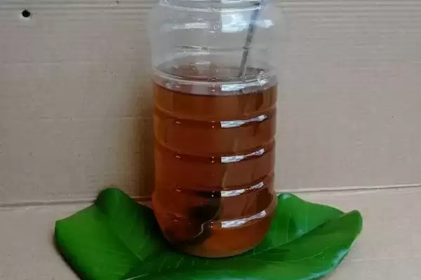 图片[7]-乌桕蜜的产量，一般可达到40-60斤左右-会东网