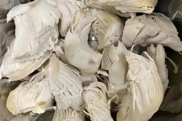 猫饭海带粉怎么做比较好 ,猫饭海带粉制作步骤是什么插图9 猫饭海带粉怎么做比较好 ,猫饭海带粉制作步骤是什么插图9