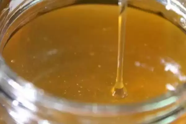 荔枝蜜介绍,质地粘稠、一般呈琥珀色插图1 荔枝蜜介绍,质地粘稠、一般呈琥珀色插图1