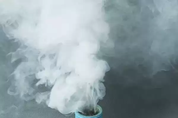 蜂螨如何产生,可交配繁殖或寄生在蜜蜂身上插图5 蜂螨如何产生,可交配繁殖或寄生在蜜蜂身上插图5