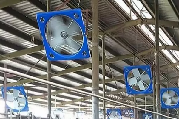 牛圈冬天保暖攻略：通风口覆盖塑料布的实用技巧插图2