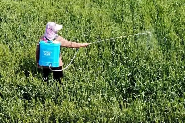 制作无公害土农药技巧的方法和重点？制作土农药要做好哪些细节达无公害？插图4