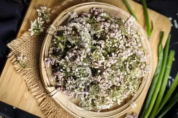 图片[5]-麻麻花是哪种植物的花 ,麻麻花的学名是什么植物-会东网