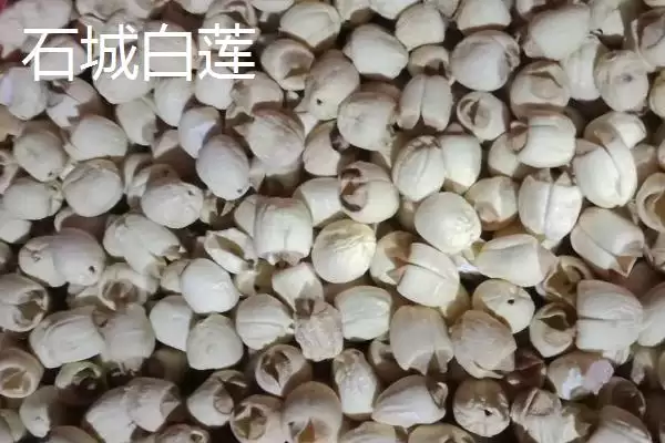 图片[9]-江西省瑞金市的特产 ,江西省瑞金市有啥特色美食-会东网