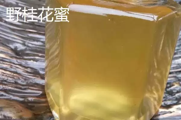 图片[3]-椴树蜜和野桂花蜜哪个更好，野桂花蜜的口感略胜一筹-会东网