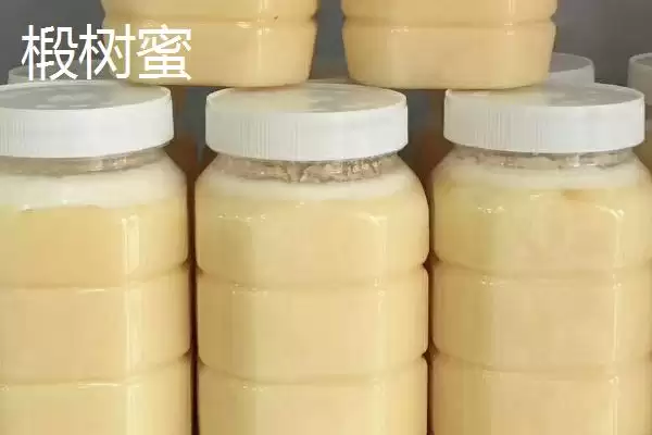 图片[4]-野桂花蜜的价格，一般60-80元一斤-会东网