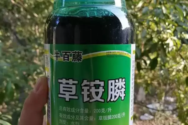 蜂螨如何产生,可交配繁殖或寄生在蜜蜂身上插图4 蜂螨如何产生,可交配繁殖或寄生在蜜蜂身上插图4