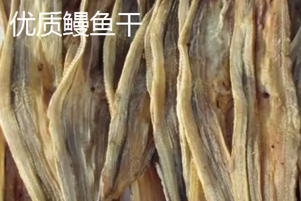 图片[5]-鳗鱼干刺太多怎么处理好 ,鳗鱼干可用什么拔鱼刺-会东网