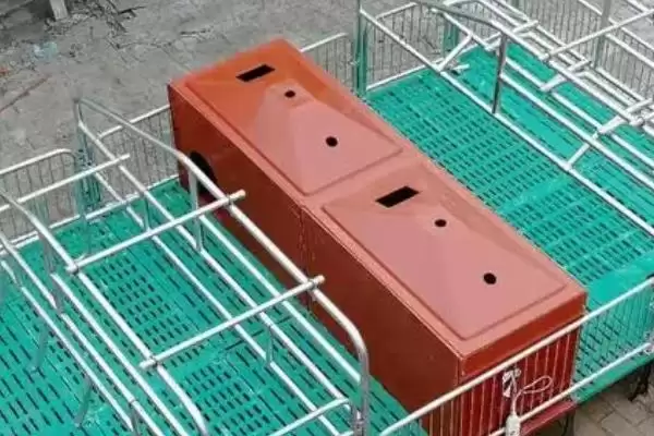 母猪单养圈舍的适宜尺寸是多少呢,母猪单养圈舍按长 4 米、宽 2.5 米建造插图3