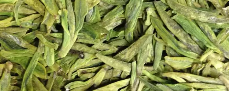 认识中国十种名茶的方法和重点？认识中国十种名茶要做好哪些细节？-会东网