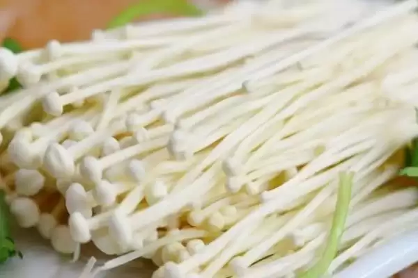 图片[8]-食用菌的种植前景？了解食用菌种植前景要分析哪些市场和产业因素？-会东网