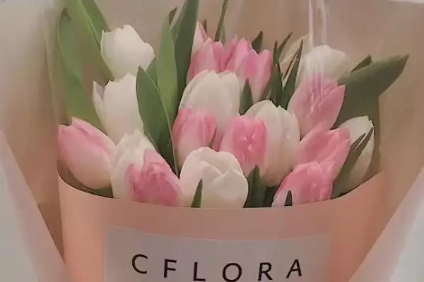 图片[3]-老婆生日的送花选择 ,送老婆生日花选玫瑰有何寓意？-会东网