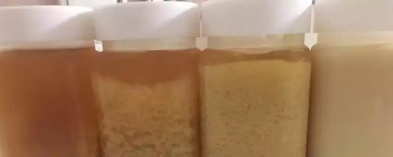 蜂蜜结晶要如何处理,气温升高后可自行恢复-会东网