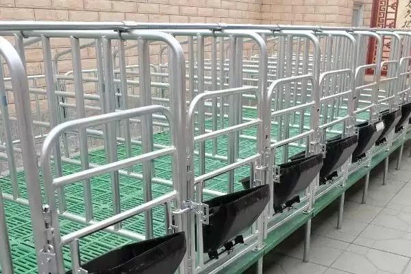 母猪定位栏要如何进行安装呢,安装母猪定位栏先设定好走道距离插图1 母猪定位栏要如何进行安装呢,安装母猪定位栏先设定好走道距离插图1