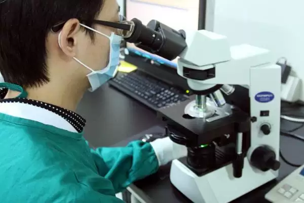 稀释猪精子的方法和重点?养猪要做好哪些繁育技术细节?插图2 稀释猪精子的方法和重点?养猪要做好哪些繁育技术细节?插图2