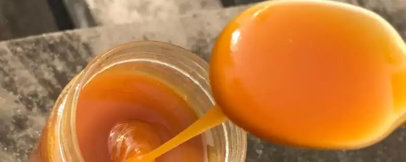 黑蜂蜂蜜简介,是黑蜂采集植物花蜜酿制成的-会东网