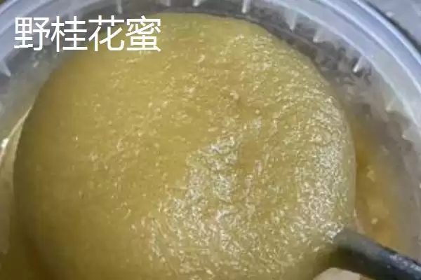 图片[3]-野桂花蜜的价格，一般60-80元一斤-会东网
