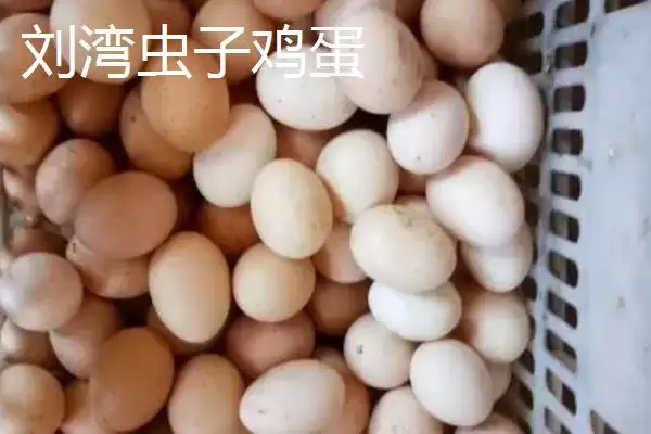 了解我国鸡蛋产地分布的方法和重点?养鸡要做好哪些产地关联?插图8 了解我国鸡蛋产地分布的方法和重点?养鸡要做好哪些产地关联?插图8
